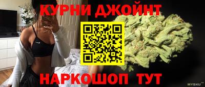 гидропоника Будённовск