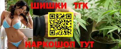 гидропоника Будённовск