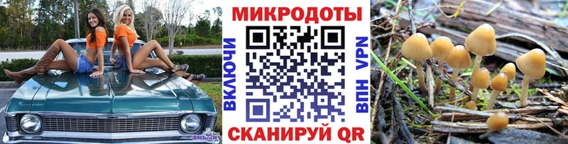 Галлюциногенные грибы мухоморы закладка Дмитров