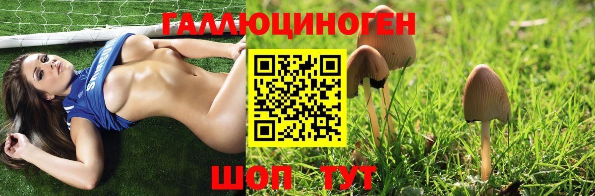 Дмитров  Галлюциногенные грибы Psilocybe  Галлюциногенные грибы мухоморы  Вход с VPN 