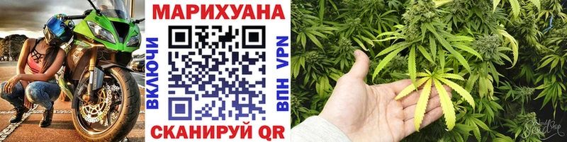 Марихуана гибрид  Дмитров 
